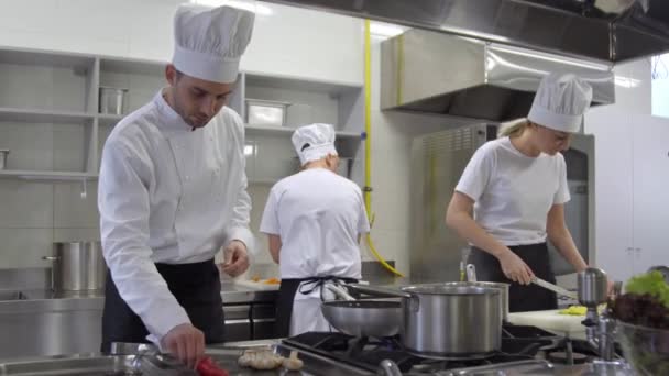 Upptagen Kockar Och Kök Chef Som Arbetar Professionella Kök — Stockvideo