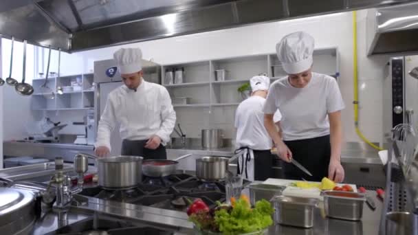 Upptagen Kockar Och Kök Chef Som Arbetar Professionella Kök — Stockvideo