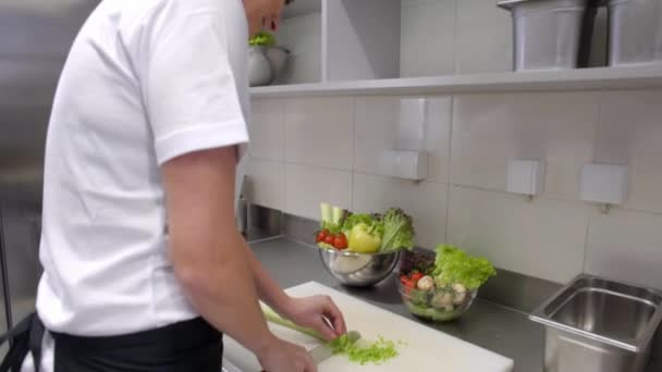 Απασχολημένος Μάγειρες Και Σεφ Της Κουζίνας Που Εργάζονται Στην Επαγγελματική — Αρχείο Βίντεο