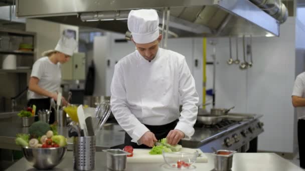 Kocken Förbereder Sallad Kockar Hjälper — Stockvideo