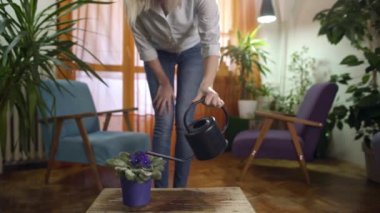 genç kadın Menekşe modern ev sulama