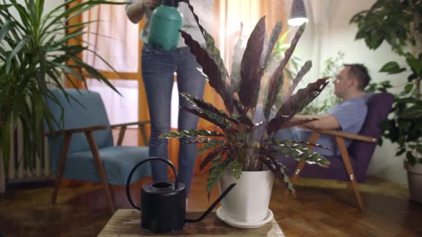 若い女性の代人ホーム スプリンクラーと植物の Tabletwater からの読み取りで植物に水を吹きかける — ストック動画