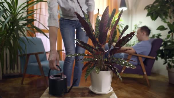 Jovem Mulher Regando Planta Casa Moderna Homem Lendo Tablet — Vídeo de Stock