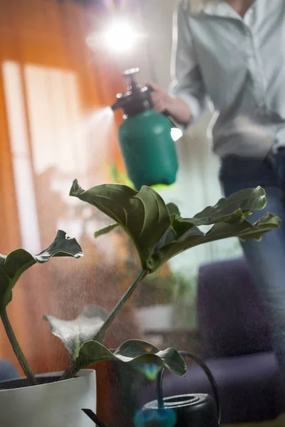 Mujer Joven Rociando Agua Planta Hogar Moderno Hombre Leyendo Tableta — Foto de Stock