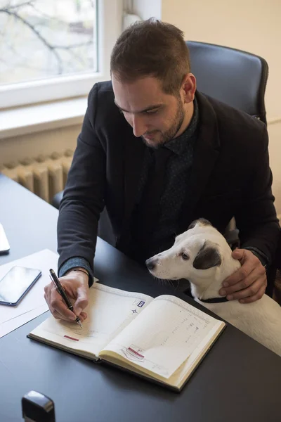 Счастливый Бизнесмен Работает Ноутбуке Офисе Сидя Рядом Собакой Галстуком Окном — стоковое фото