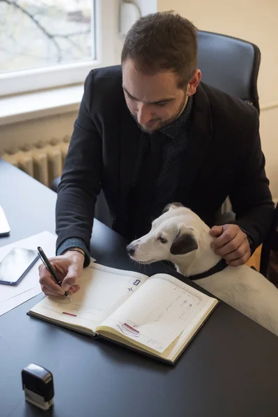 Счастливый Бизнесмен Работает Ноутбуке Офисе Сидя Рядом Собакой Галстуком Окном — стоковое фото