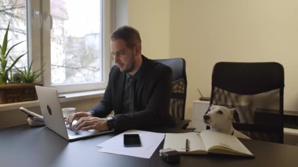 Glücklicher Geschäftsmann Laptop Büro Sitzend Neben Hund Mit Krawatte Fenster — Stockvideo