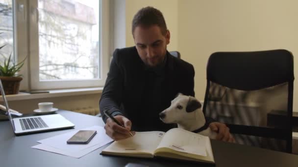 Glücklicher Geschäftsmann Laptop Büro Sitzend Neben Hund Mit Krawatte Fenster — Stockvideo