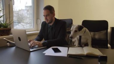 laptop notebook kağıtları telefon ile pencere siyah masasının bir kravat köpek yanında oturan ofiste çalışan mutlu işadamı jack russell terrier icra kurumsal