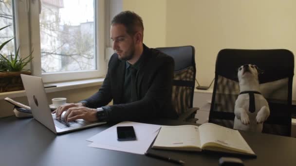 Glücklicher Geschäftsmann Laptop Büro Sitzend Neben Hund Mit Krawatte Fenster — Stockvideo