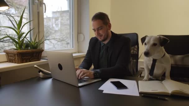 Glad Affärsman Arbetar Laptop Kontoret Sitter Bredvid Hunden Med Slips — Stockvideo
