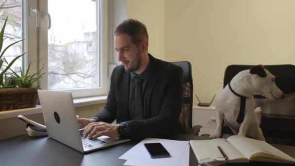 Glücklicher Geschäftsmann Laptop Büro Sitzend Neben Hund Mit Krawatte Fenster — Stockvideo