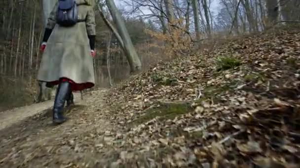 Jonge Aantrekkelijke Vrouw Met Rode Hoed Dwaalt Forestyoung Aantrekkelijke Vrouw — Stockvideo