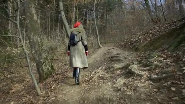 Młoda Atrakcyjna Kobieta Red Hat Wędruje Forestyoung Atrakcyjna Kobieta Red — Wideo stockowe