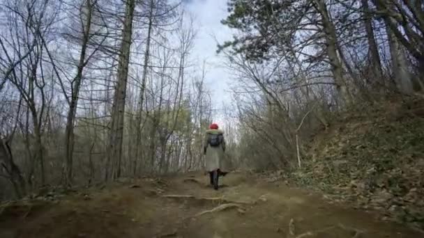 Mladá Atraktivní Žena Červeným Kloboukem Bloudí Forestyoung Atraktivní Žena Červeným — Stock video