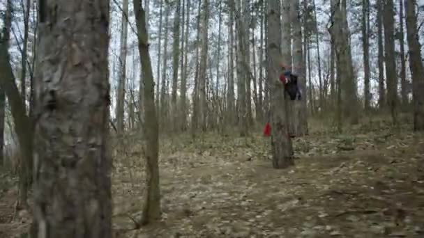 Junge Attraktive Frau Mit Rotem Hut Wandert Wald Junge Attraktive — Stockvideo