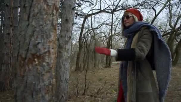 Mujer Atractiva Joven Con Sombrero Rojo Deambula Bosque Tocando Árbol — Vídeos de Stock