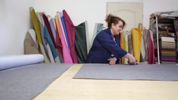 Una Donna Anziana Con Cappotto Scuro Taglia Marcato Materiale Grigio — Video Stock