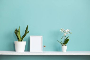 Resim çerçevesi mockup ile modern oda dekorasyonu. Saksı orkide ve yılan bitkiile pastel turkuaz duvara karşı beyaz raf.