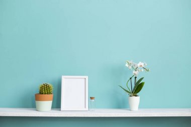 Resim çerçevesi mockup ile modern oda dekorasyonu. Saksı orkide ve kaktüs bitki ile pastel turkuaz duvara karşı beyaz raf.