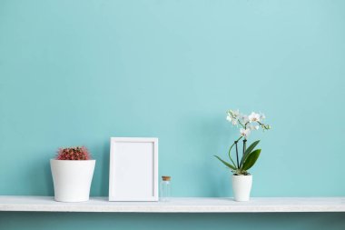 Resim çerçevesi mockup ile modern oda dekorasyonu. Saksı orkide ve kaktüs bitki ile pastel turkuaz duvara karşı beyaz raf.