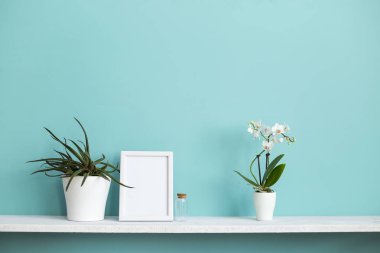 Resim çerçevesi mockup ile modern oda dekorasyonu. Saksı orkide ve sulu bitki ile pastel turkuaz duvara karşı beyaz raf.