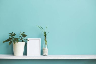 Resim çerçevesi mockup ile modern oda dekorasyonu. Su ve schefflera örümcek bitki kesimleri ile pastel turkuaz duvara karşı beyaz raf.