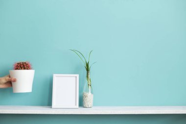 Resim çerçevesi mockup ile modern oda dekorasyonu. Su ve el kaktüs aşağı koyarak örümcek bitki kesimleri ile pastel turkuaz duvara karşı beyaz raf.