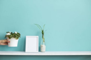 Resim çerçevesi mockup ile modern oda dekorasyonu. Su ve el mor aşağı koyarak örümcek bitki kesimleri ile pastel turkuaz duvara karşı beyaz raf.