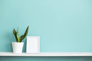 Resim çerçevesi mockup ile modern oda dekorasyonu. Saksı yılan bitkisi ile pastel turkuaz duvara karşı beyaz raf.