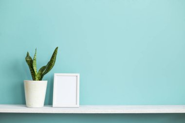 Resim çerçevesi mockup ile modern oda dekorasyonu. Saksı yılan bitkisi ile pastel turkuaz duvara karşı beyaz raf.
