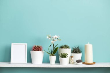 Resim çerçevesi mockup ile modern oda dekorasyonu. Farklı tencerelerde çeşitli kaktüs ve etli bitkilerin koleksiyonu ile pastel turkuaz duvara karşı beyaz raf.