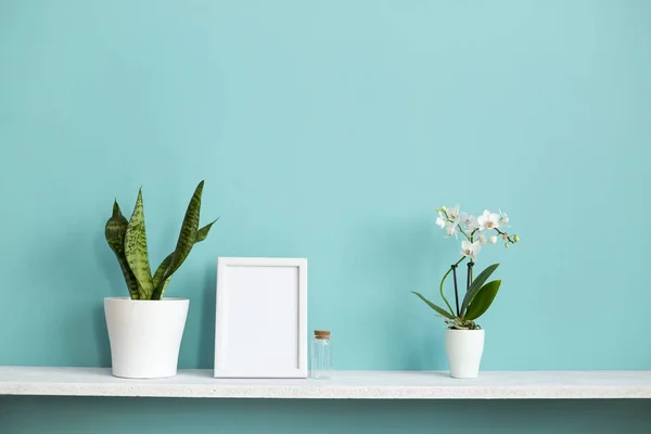 Moderna decoración de la habitación con marco de imagen maqueta. Estante blanco contra pared de color turquesa pastel con orquídea en maceta y planta de serpiente . — Foto de Stock