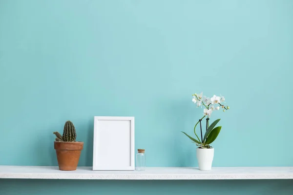 Moderna decoración de la habitación con marco de imagen maqueta. Estante blanco contra pared de turquesa pastel con orquídea en maceta y planta de cactus . — Foto de Stock
