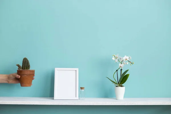 Moderna decoración de la habitación con marco de imagen maqueta. Estante blanco contra pared de turquesa pastel con orquídea en maceta y planta de cactus puesta a mano . — Foto de Stock