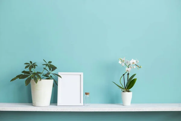 Moderna decoración de la habitación con marco de imagen maqueta. Estante blanco contra pared de color turquesa pastel con orquídea en maceta y planta schefflera . — Foto de Stock