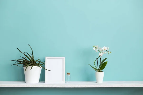 Moderna decoración de la habitación con marco de imagen maqueta. Estante blanco contra pared de turquesa pastel con orquídea en maceta y planta suculenta . — Foto de Stock