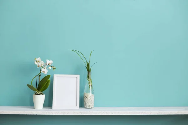 사진 프레임 모형과 현대적인 방 장식입니다. 물과 난초에서 거미 식물 절단 파스텔 청록색 벽에 대한 흰색 선반. — 스톡 사진