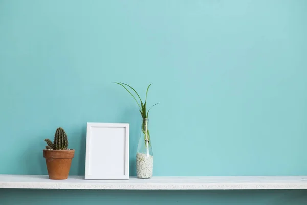 Moderna decoración de la habitación con marco de imagen maqueta. Estante blanco contra pared de color turquesa pastel con esquejes de plantas de araña en agua y cactus . — Foto de Stock