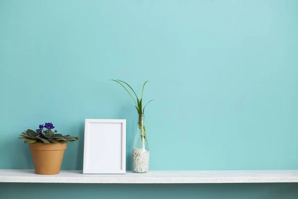 Moderna decoración de la habitación con marco de imagen maqueta. Estante blanco contra pared de color turquesa pastel con esquejes de plantas de araña en agua y violeta . — Foto de Stock