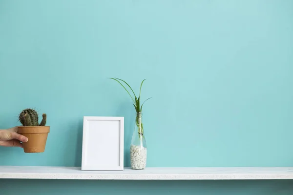 Moderna decoración de la habitación con marco de imagen maqueta. Estante blanco contra pared de color turquesa pastel con esquejes de plantas de araña en agua y mano poniendo hacia abajo cactus . — Foto de Stock