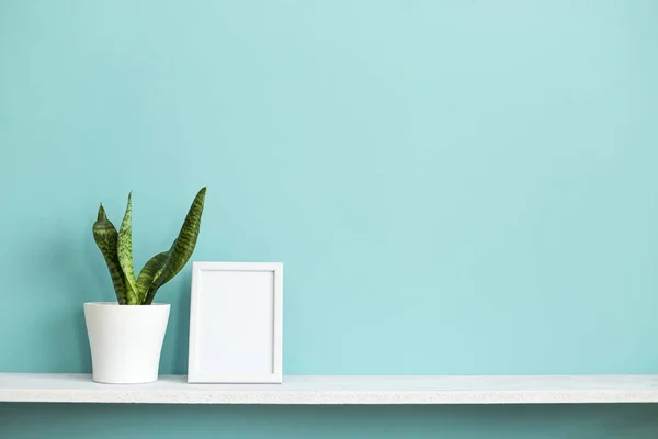 Resim çerçevesi mockup ile modern oda dekorasyonu. Saksı yılan bitkisi ile pastel turkuaz duvara karşı beyaz raf.