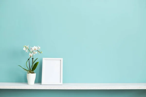 사진 프레임 모형과 현대적인 방 장식입니다. 화분에 심은 난초 식물파스텔 청록색 벽에 흰색 선반. — 스톡 사진