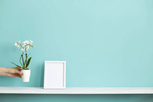 Moderna decoración de la habitación con marco de imagen maqueta. Estante blanco contra pared de color turquesa pastel y planta de orquídea en maceta a mano . — Foto de Stock