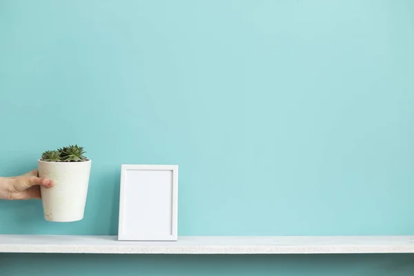 Moderna decoración de la habitación con marco de imagen maqueta. Estante blanco contra la pared de color turquesa pastel con la mano poniendo planta suculenta maceta . — Foto de Stock