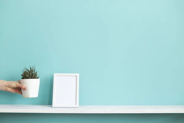Moderna decoración de la habitación con marco de imagen maqueta. Estante blanco contra la pared de color turquesa pastel con la mano poniendo planta suculenta maceta . — Foto de Stock