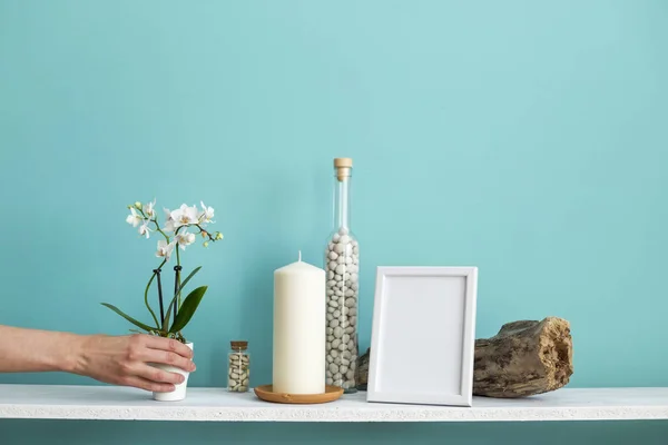 사진 프레임 모형과 현대적인 방 장식입니다. 파스텔 청록색 벽에 촛불과 바위가 있는 흰색 선반. 화분에 심은 식물을 손으로 내려 놓습니다. — 스톡 사진