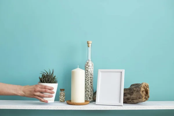 사진 프레임 모형과 현대적인 방 장식입니다. 파스텔 청록색 벽에 촛불과 바위가 있는 흰색 선반. 손으로 화분에 담긴 다육 식물을 내려 놓습니다. — 스톡 사진