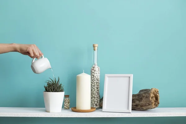 사진 프레임 모형과 현대적인 방 장식입니다. 파스텔 청록색 벽에 촛불과 바위가 있는 흰색 선반. 손으로 물을 화분에 담긴 다육 식물 — 스톡 사진