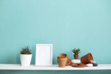Beyaz raf pastel turkuaz duvara karşı çömleklerle ve sulu bitkilerle dolu..